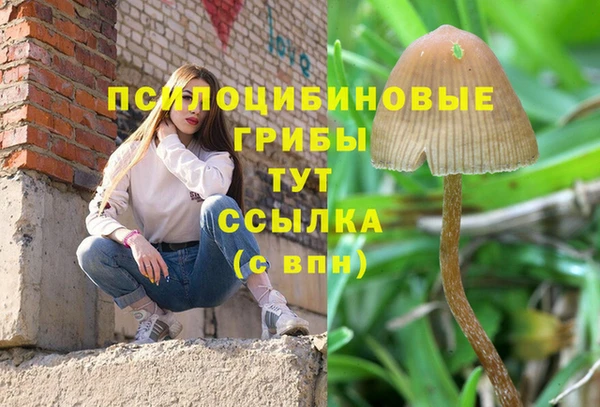 синтетический гашиш Абаза