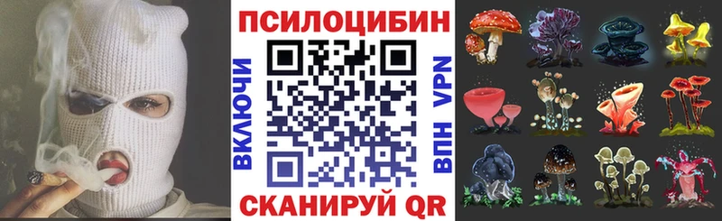 где продают наркотики  Ядрин  Псилоцибиновые грибы Psilocybine cubensis 